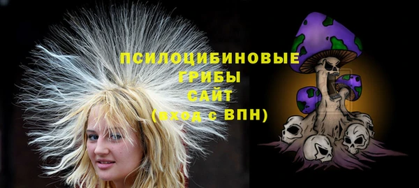 таблы Белокуриха