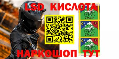 прущие крисы Кингисепп