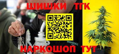 прущие крисы Кингисепп