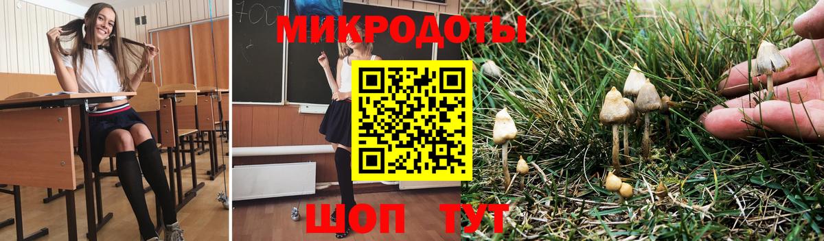 Псилоцибиновые грибы Cubensis  Вход с VPN  Кушва 