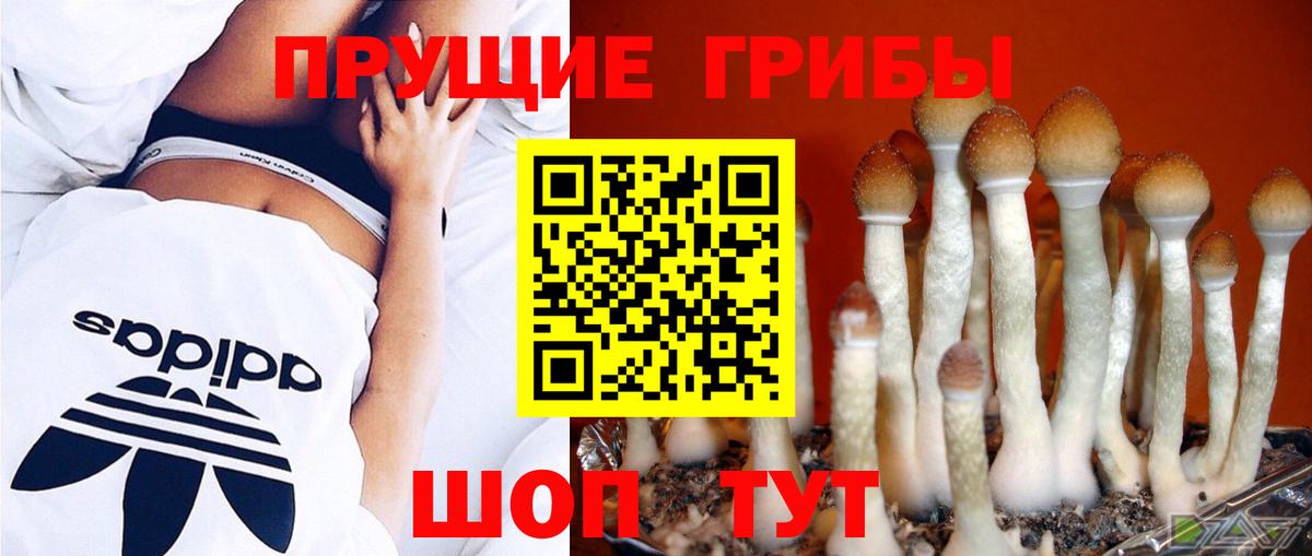Галлюциногенные грибы мухоморы Кушва